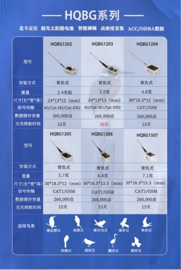 盛煌娱乐,湖南野生动物追踪,湖南卫星追踪器,湖南追踪器