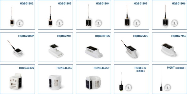 盛煌娱乐,湖南野生动物追踪,湖南卫星追踪器,湖南追踪器