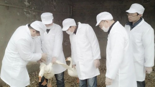 盛煌娱乐,湖南野生动物追踪,湖南卫星追踪器,湖南追踪器